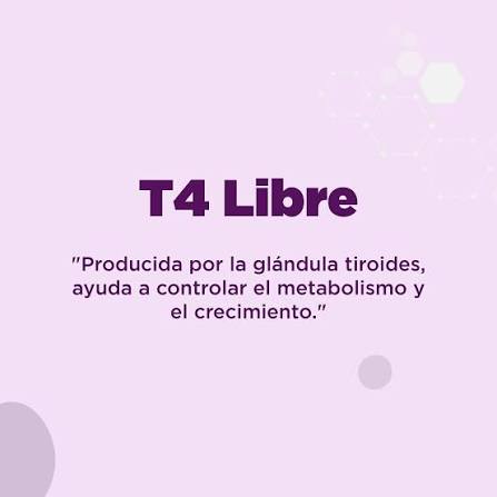 T4